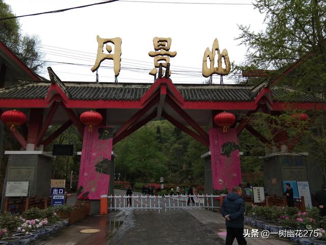  彭州牡丹  2023年清明古镇美食之旅（四）彭州丹景山牡丹古迹游 四川特产